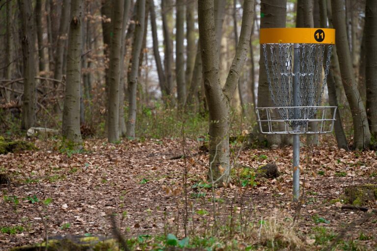 Discgolfen mit der GAL