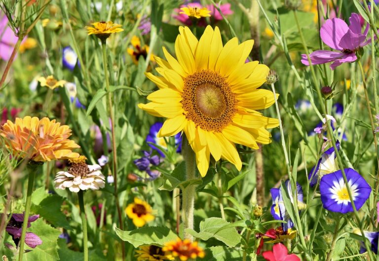 Nachhaltigkeit im eigenen Garten